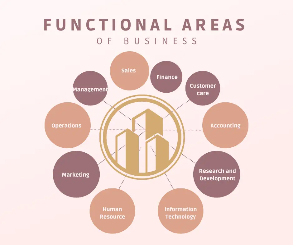 functions of a business plan in an organization